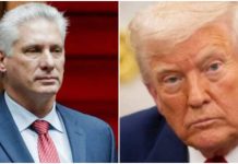 Incertidumbre diplomática: Trump sugiere acercamiento con Cuba mientras Díaz-Canel desmiente contactos oficiales