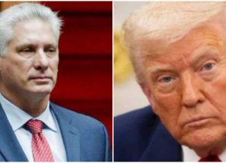 Incertidumbre diplomática: Trump sugiere acercamiento con Cuba mientras Díaz-Canel desmiente contactos oficiales