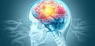 La fibra, clave para la salud del cerebro y el cuerpo: qué alimentos recomiendan los expertos