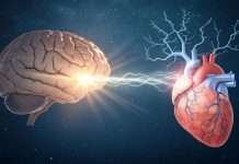 Expertos proponen 11 medidas para cuidar el corazón y el cerebro al mismo tiempo