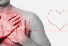 El intestino podría anticipar un infarto: el hallazgo que sorprende a la ciencia