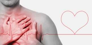 El intestino podría anticipar un infarto: el hallazgo que sorprende a la ciencia