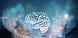 Claves para una mente sana: 10 hábitos que protegen la memoria con el paso del tiempo