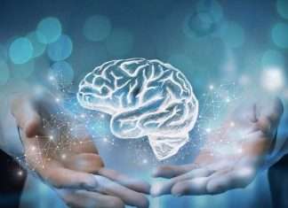 Claves para una mente sana: 10 hábitos que protegen la memoria con el paso del tiempo